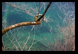 Plitvice -12-04-2026 - Bogdan Balaban